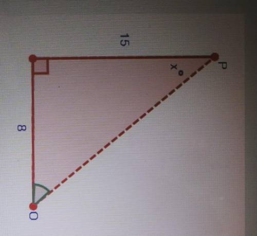 PLEASE HELP OUT! Find the measure of angle x. Round your answer to the nearest hundredth. (please t