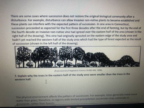 HELP

explain why the trees in the eastern half of the study area were smaller than the trees in t