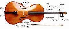 In an orchestra, which of these is a subsection of the other?

A, the string section
B, the cello