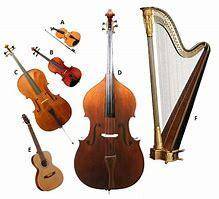 In an orchestra, which of these is a subsection of the other?

A, the string section
B, the cello