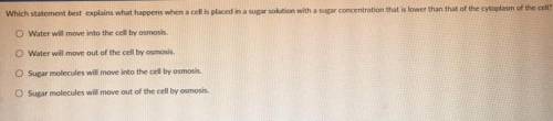 which statement best explains what happens when a cell is placed in a sugar solution with a sugar c
