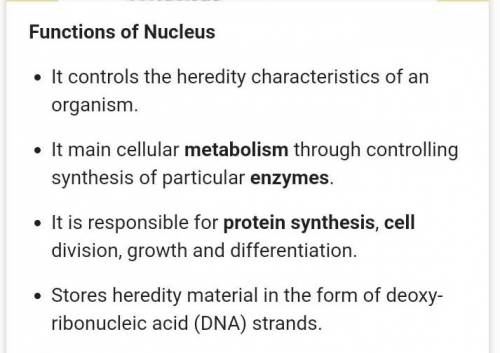 5 Function of nucleus ​