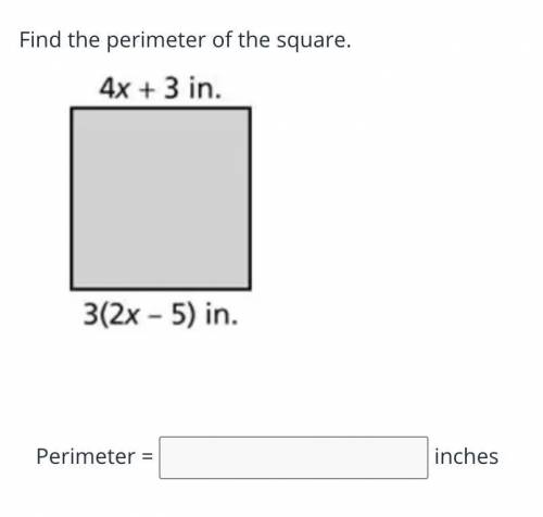 PLEASE HELP ASAP 
50 POINTS BRAINLIEST
find the perimeter of the square