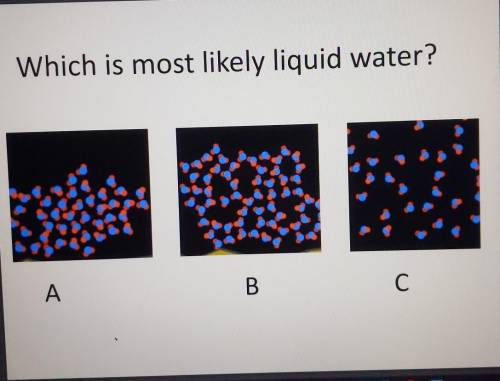 Which is most likely water?
