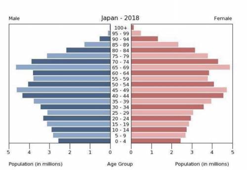 11. Which stage of the Demographic Transition Model does the population pyramid represent?

Stage