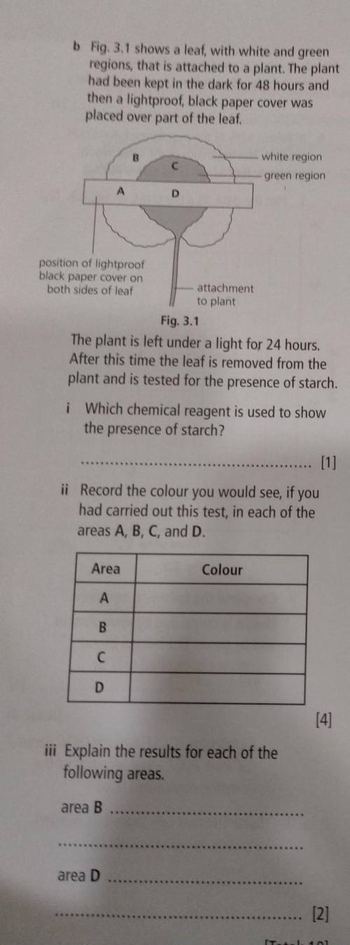 How to do this question