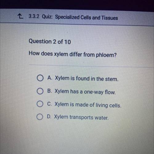 How does xylem differ from phloem?