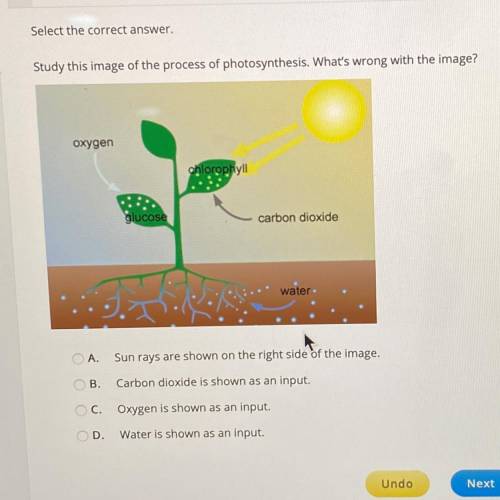 Select the correct answer

Study this image of the process of photosynthesis What's wrong with the