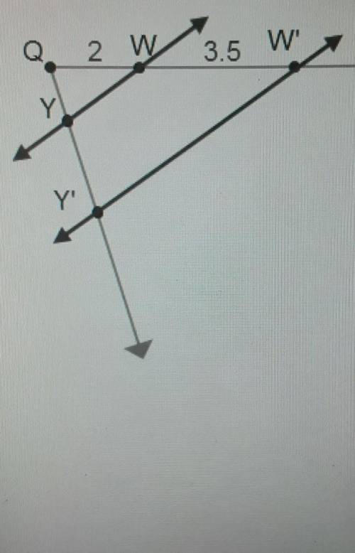 PLS HELP ME WITH THIS I REALLY NEED IT

The question is Line WY is dilated to create line W'Y usin