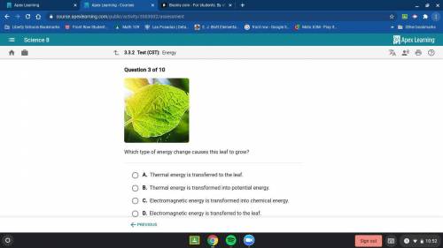 Which type of energy change cause the leaf to grow?