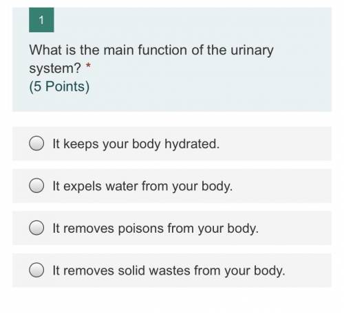 Urinary system quiz

Hey! I would really like some help with this if someone wouldn’t mind helping