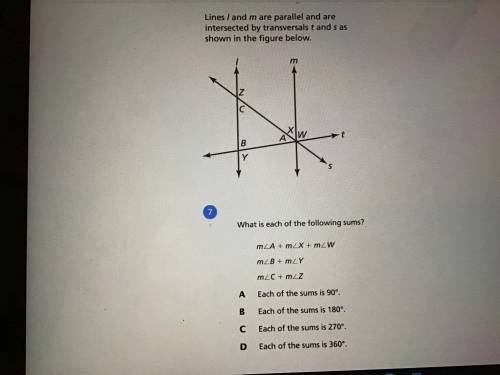 Please help me I really need help with this
