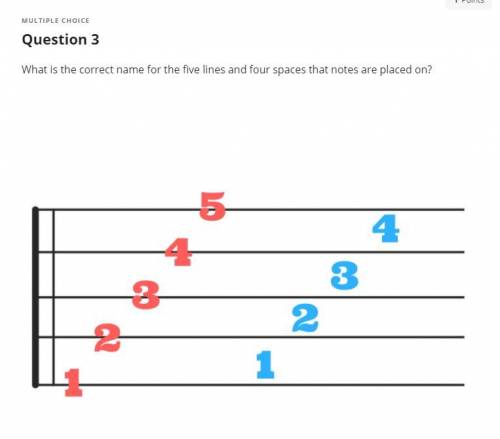 What is the correct name for the five lines and four spaces that notes are placed on?
