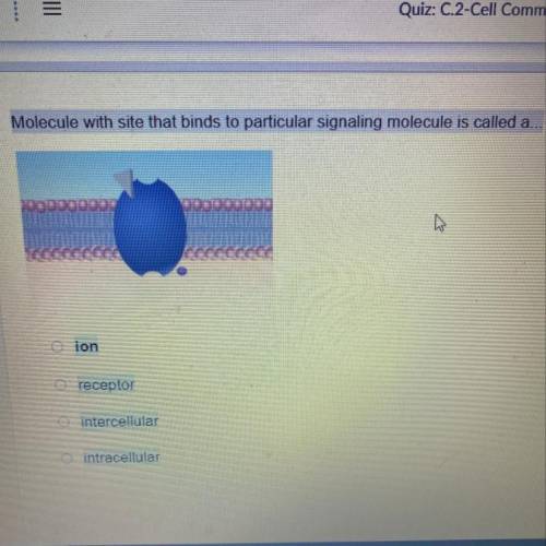 Molecule with site that binds to particular signaling molecule is called a...