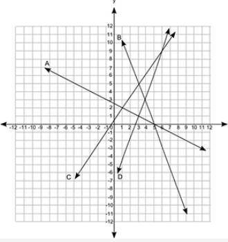 The coordinate grid shows the graph of four equations: A coordinate grid is shown from negative 12