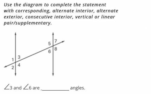 Angle 3 and 6 are what kind of angles