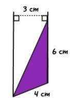 Find the length of a base and its corresponding height of the triangle.