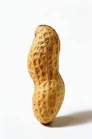 Peanut

................