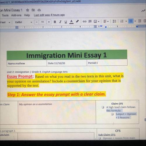 What is your opinion on assimilation and write a counter claim