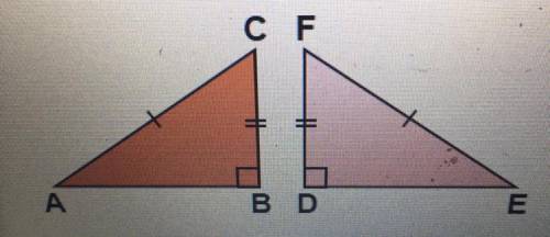 True or false, the following two triangles are congruent by HL. 
A.) False
B.) True