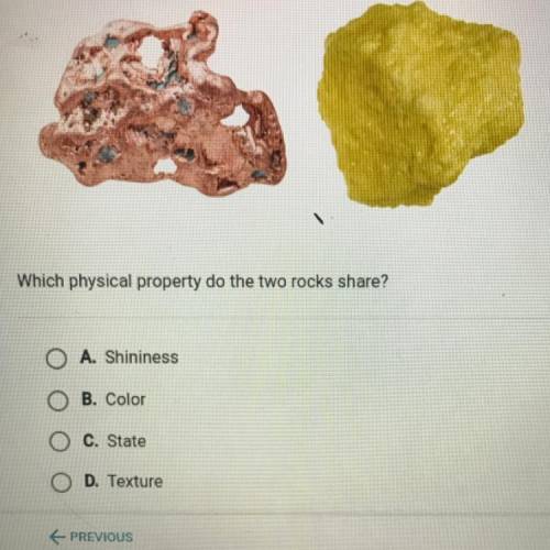 Which physical property do the two rocks share?

A. Shininess
B. Color
C. State
D. Texture