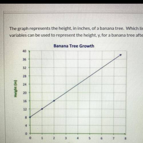 HELP ME Please !!!

The graph represents the height, in inches of a banana tree. Which linear equa