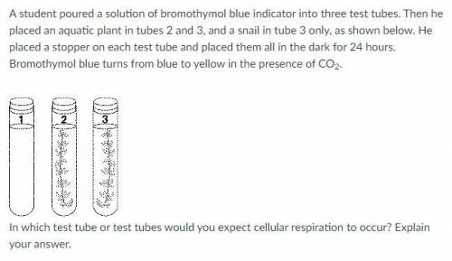 A student poured a solution of bromothymol blue indicator into three test tubes. Then he placed an