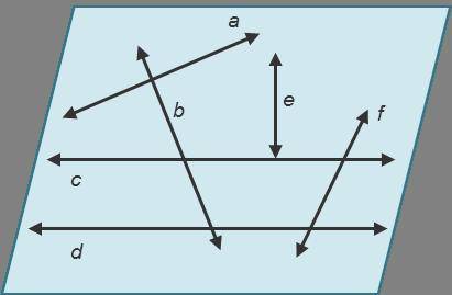 Which two lines appear as if they will never intersect? Select all that apply.

a
b
c
d
e
f