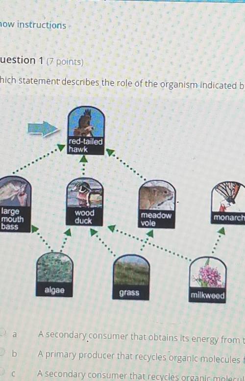 Which statement describes the role of the organism indicated by the blue arrow in the food web
