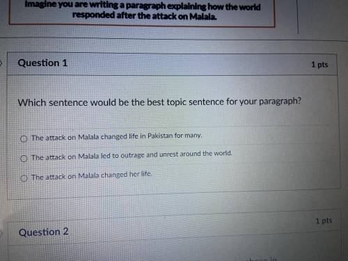 Which sentence would be the best topic sentence for your paragraph