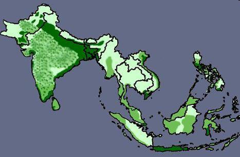 A map of population density in South and Southeast Asia. Darker areas have higher population densit