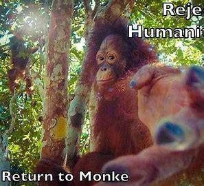 Forget humanity return to monke
hope i made your day :D