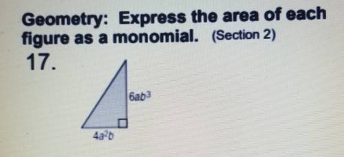 Geometry: Express the area of each figure as a monomial. I need help with this, anyone?
