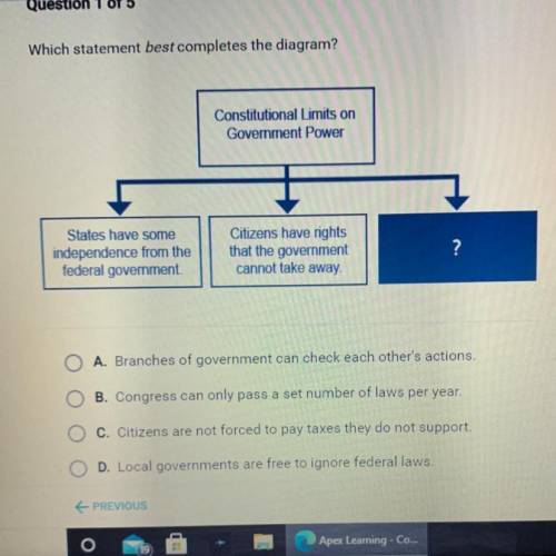 Which statement best completes the diagram?

Constitutional Limits on
Government Power
States have
