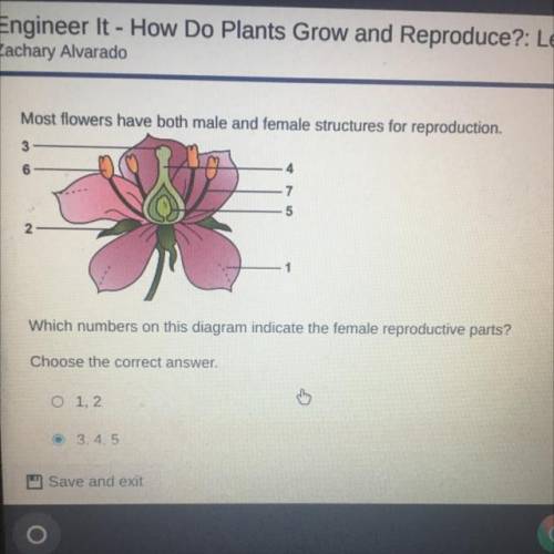 Most flowers have both male and female structures for reproduction.....PLEASE HURRYYYY
