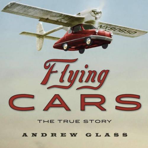 Did somebody read the book called Flying cars I need help! What I want is a summary of chapter 1,
