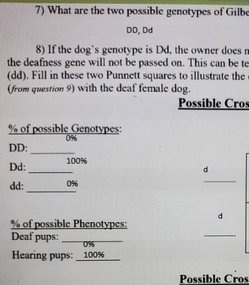 Explain how you could tell the genotype of Gilberts Male dog?p1 of photo