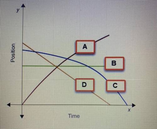 Which line represents a stationary object?

A. Line A
B. Line B
C. Line C
D. Line D
PLZ HELP