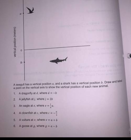 PLEASE HELP!!

A seagull has a vertical position a, and the shark has a vertical position b. Draw