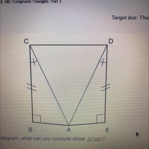 Please helpp

From the diagram, what can you conclude about CAD?
A) it’s an obtuse triangle 
B) it
