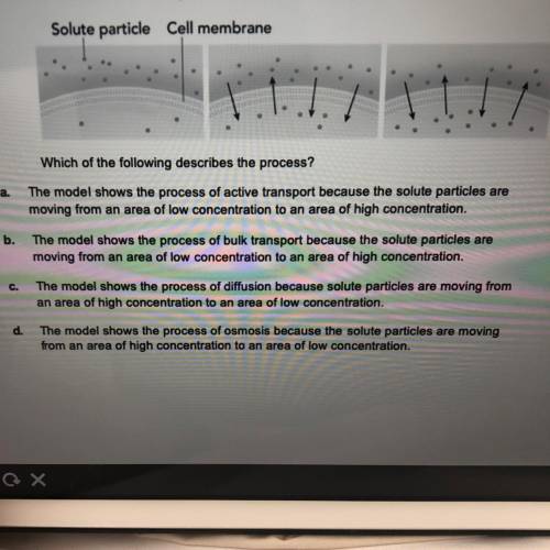 The model shows a substance crossing a cell membrane.

Solute particle Cell membrane
Which of the