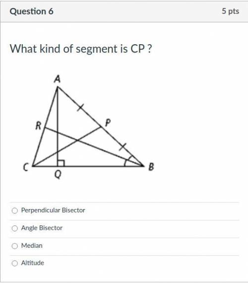 What kind of segment is CP?