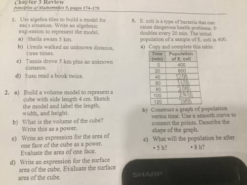 Uh, guys please help me to answer The Chapter 3 Review of 3 bunch of questions to complete.

Bonus