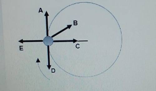 An object experiences a uniform circular motion in a horizontal plane, as illustrated below. The di