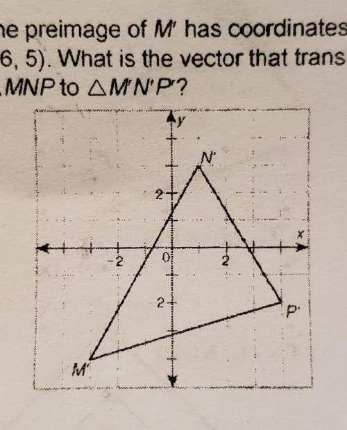 The preimage of M' has coordinates (-6, 5). What is the vector that translates triangle MNP to tria