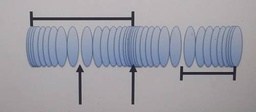 The diagram below shows a longitudinal wave at one instant in its motion. Each oval represents a pa