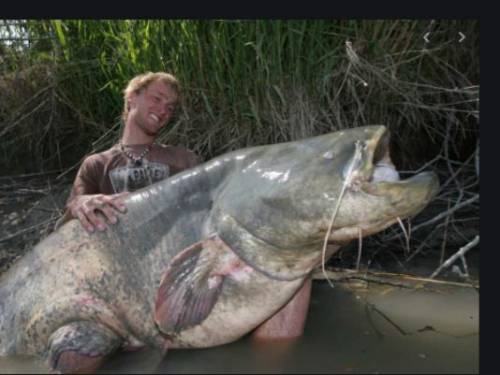 THIS IS MY COUSIN HE CATCHED THE WORLDS BIGGEST FISH