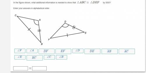 In the figure shown, what additional information is needed to show that △ABC≅△DEF by SSS?

Enter y