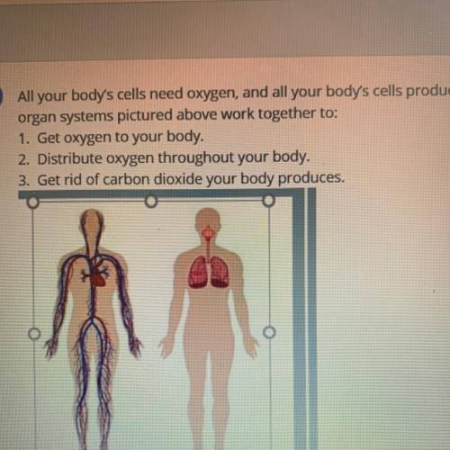All your body's cells need oxygen, and all your body's cells produce carbon dioxide. Name and descr