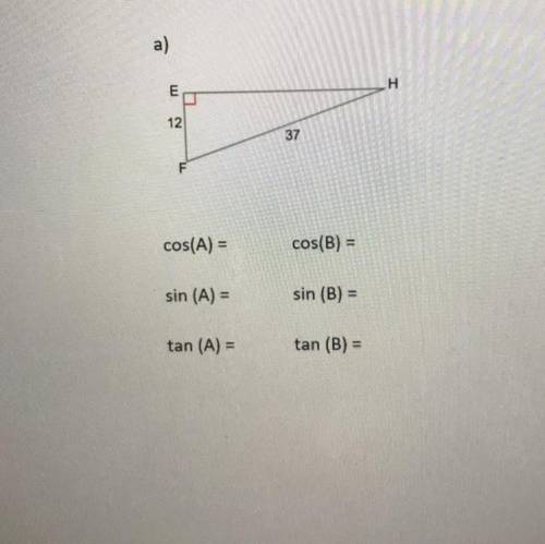 For each right triangle and the identified angle of reference, create the desired trigonometric rat